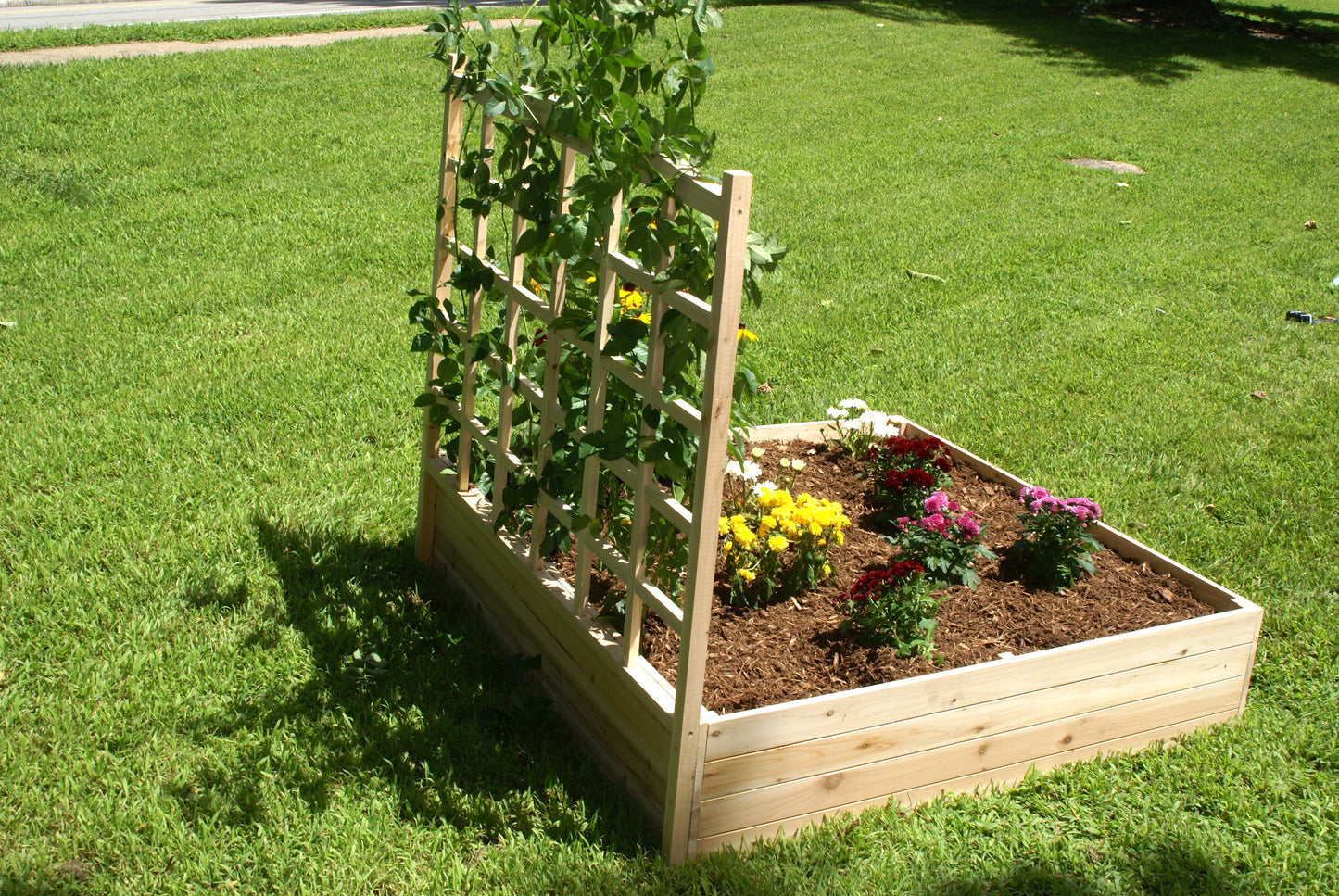 Raised Garden Bed with Trellis (4FT x 4FT x 11IN) RGB-4411-T