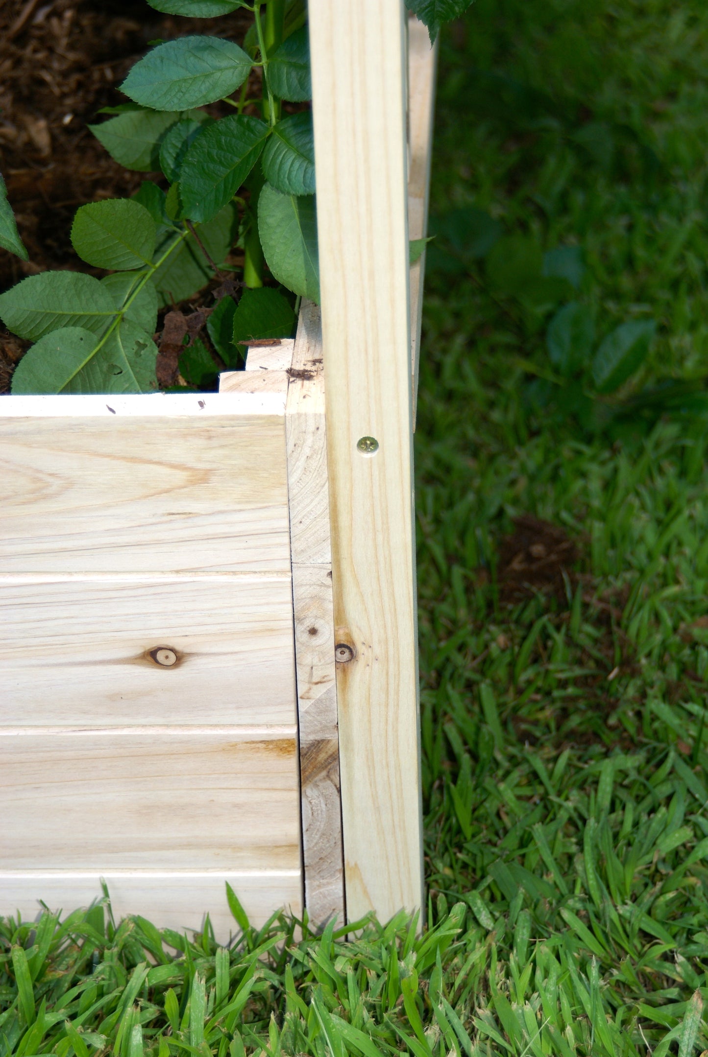 Raised Garden Bed with Trellis (4FT x 4FT x 11IN) RGB-4411-T