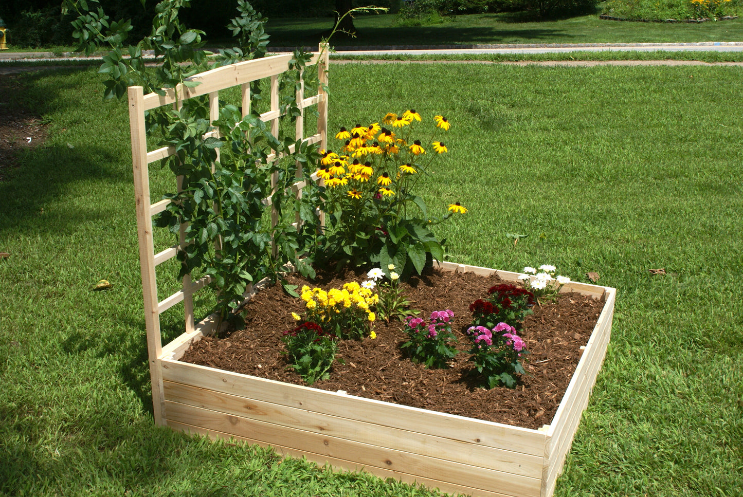 Raised Garden Bed with Trellis (4FT x 4FT x 11IN) RGB-4411-T