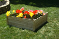 Load image into Gallery viewer, EDEN Quick Assembly Raised Garden Bed (4FT x 4FT x 17.5IN)
