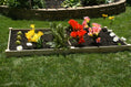 Load image into Gallery viewer, Quick Assembly Raised Garden Bed - 4x8x5.5 Inches RGB-485
