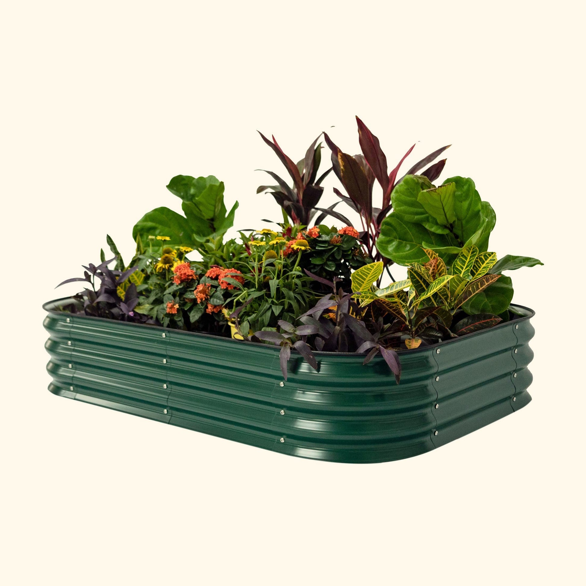 Vego 11" Tall 6-in-1 Modular Raised Garden Bed in British Green, ideal for growing vegetables and flowers.