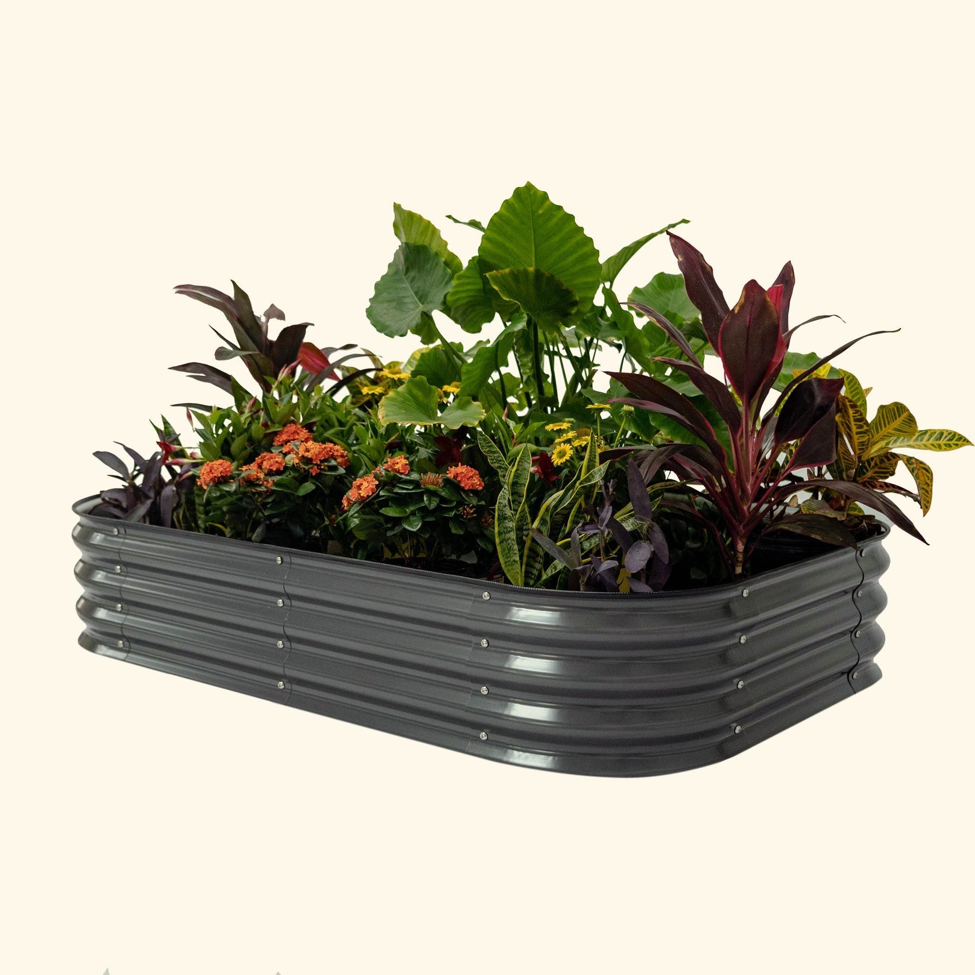 Vego 11" Tall 6-in-1 Modular Raised Garden Bed in modern-gray ideal for growing vegetables and flowers